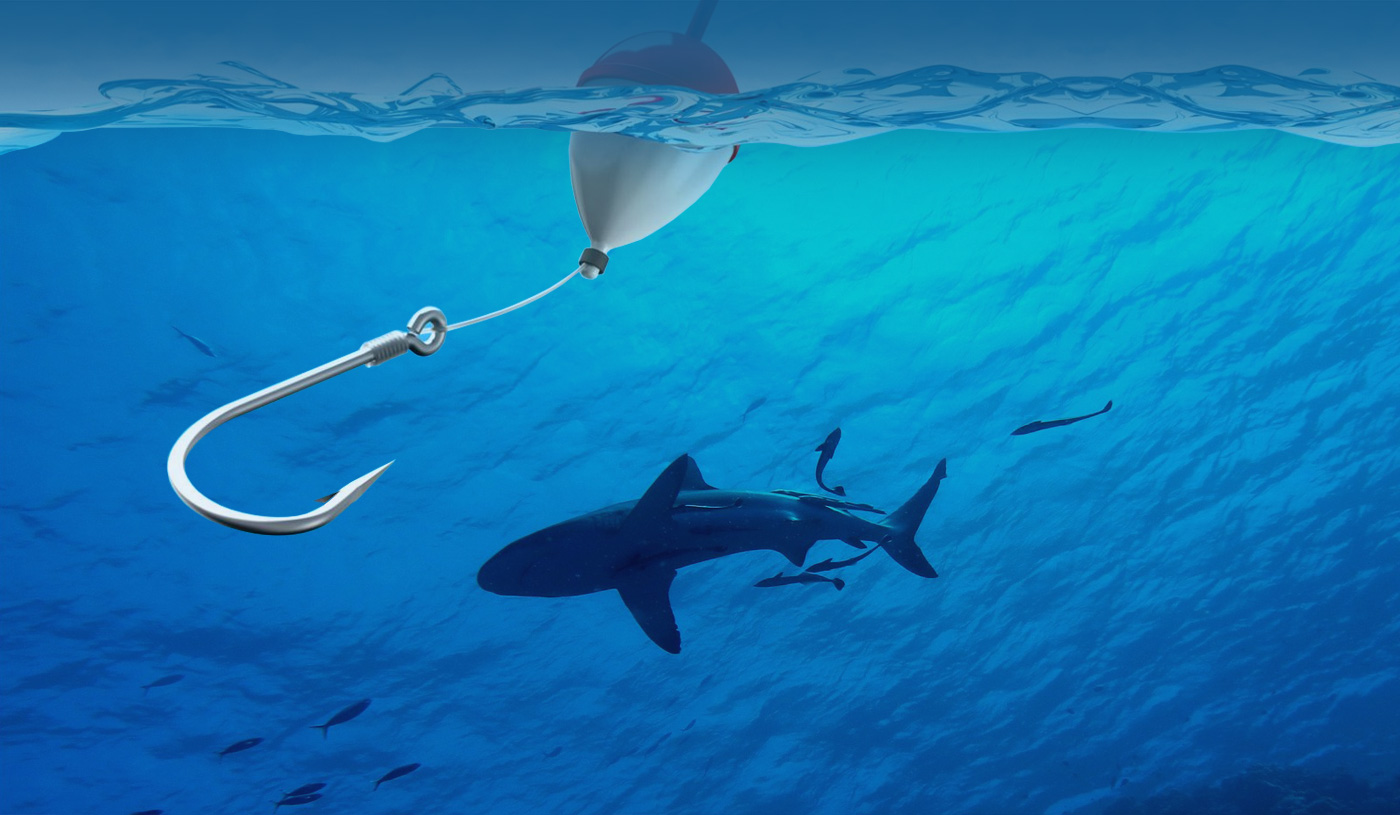 Find the best camping area FOR FISHING